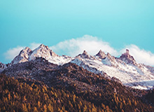 星空体育app——让体育热爱者的指尖世界更精彩