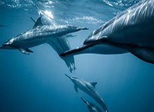 星空体育app——让体育热爱者的指尖世界更精彩